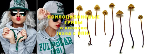 стаф Белоозёрский
