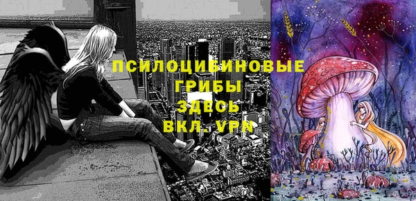 стаф Белоозёрский
