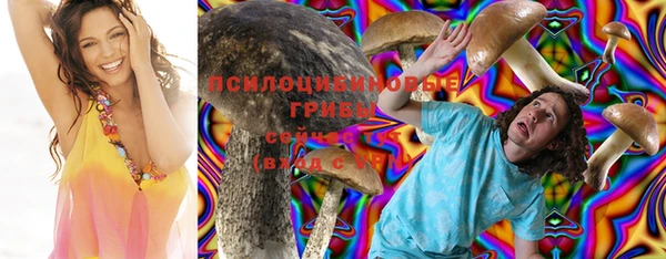 марки nbome Белокуриха