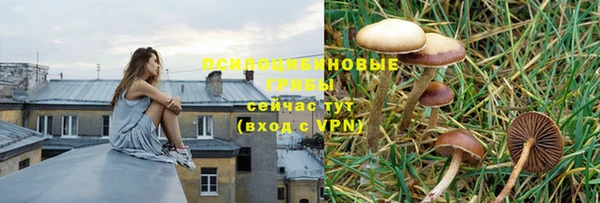 гашиш Беломорск