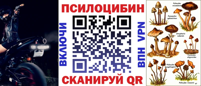 Псилоцибиновые грибы MAGIC MUSHROOMS  Жуковский 